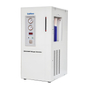 SN-500P Nitrogen Generator